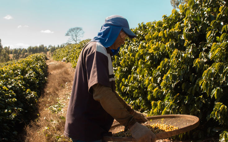 Η γέννηση του καφέ Nespresso μέσα από την ταινία Origem