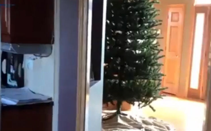 dsgjupsdogj