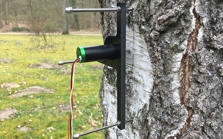 Τα δέντρα «τουιτάρουν» για την κλιματική αλλαγή