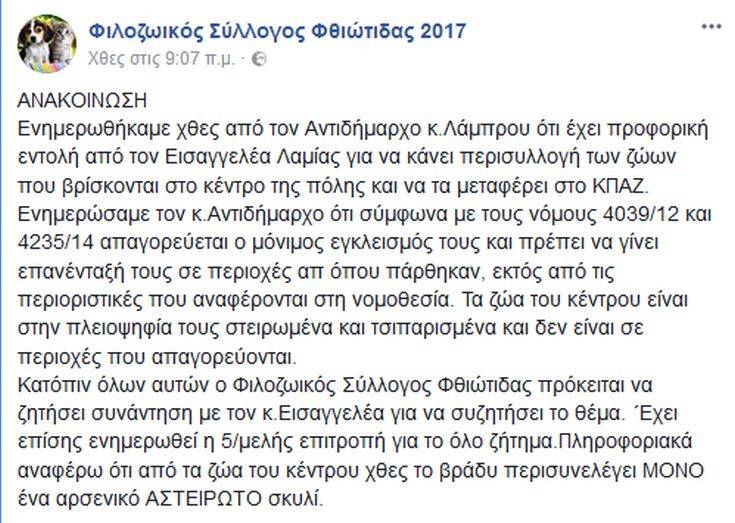 Εισαγγελική παρέμβαση για τα αδέσποτα στις πλατείες της Λαμίας