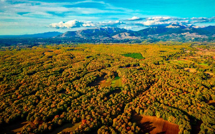 &Phi;&Omicron;&Lambda;&Omicron;&Eta;
