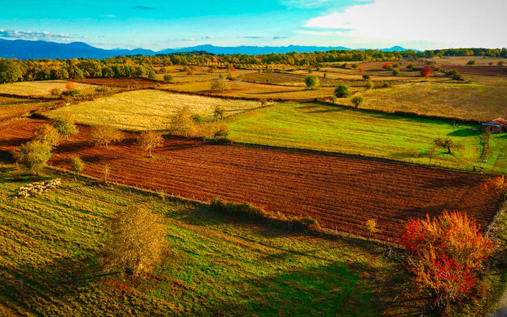 &Phi;&Omicron;&Lambda;&Omicron;&Eta;