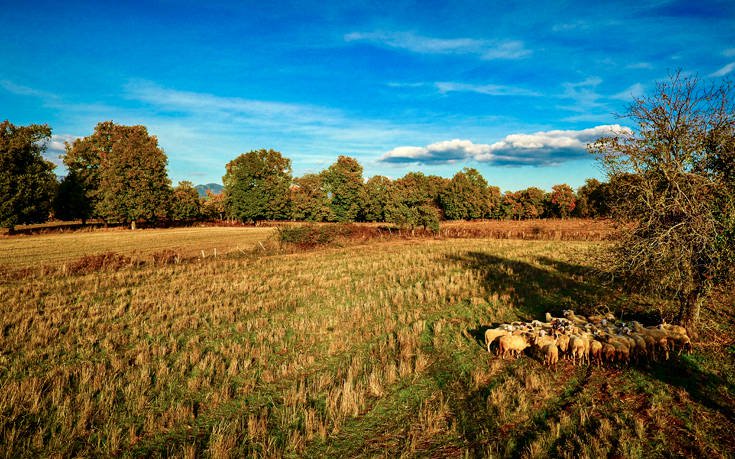 &Phi;&Omicron;&Lambda;&Omicron;&Eta;