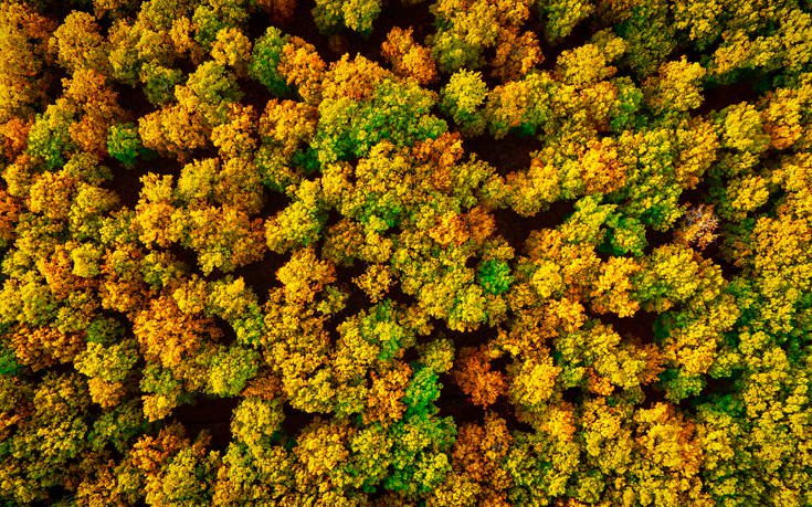 &Phi;&Omicron;&Lambda;&Omicron;&Eta;