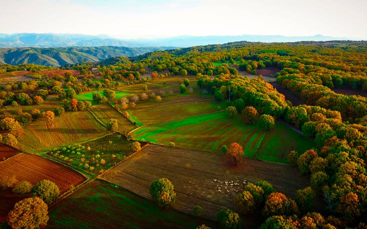 &Phi;&Omicron;&Lambda;&Omicron;&Eta;