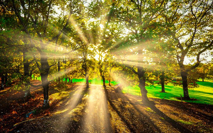 &Phi;&Omicron;&Lambda;&Omicron;&Eta;