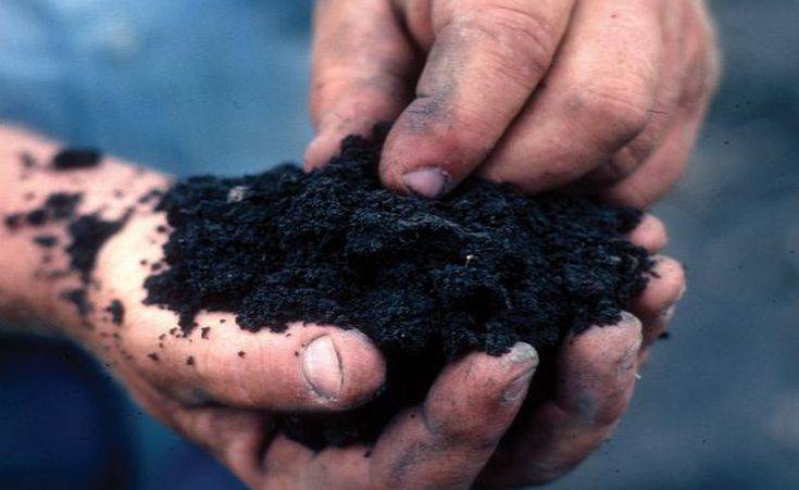 CEB5CEB4CEB1CF86CEBFCF82