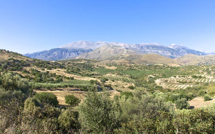 &Psi;&Eta;&Lambda;&Omicron;&Rho;&Epsilon;&Iota;&Tau;&Eta;&Sigma;