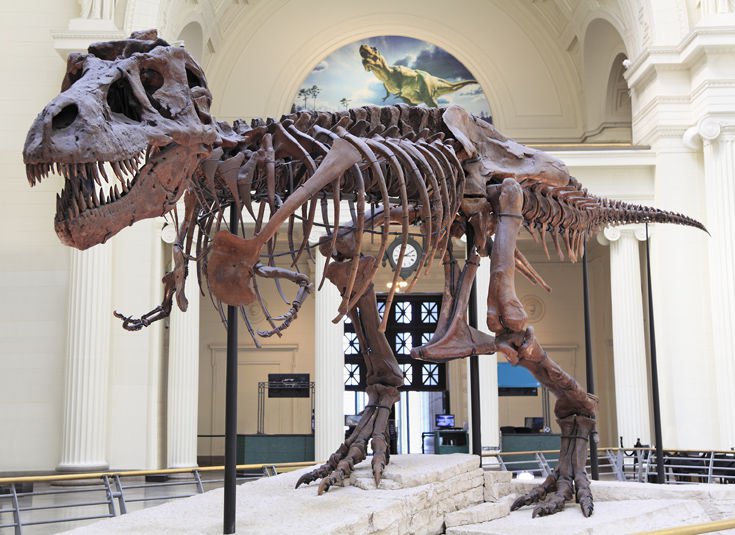 &Sigma;&Iota;&Kappa;&Alpha;&Gamma;&Omicron;