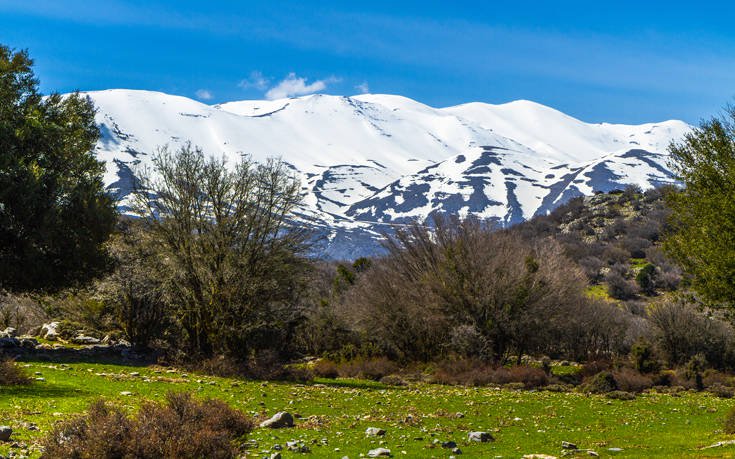 &Psi;&Eta;&Lambda;&Omicron;&Rho;&Epsilon;&Iota;&Tau;&Eta;&Sigma;