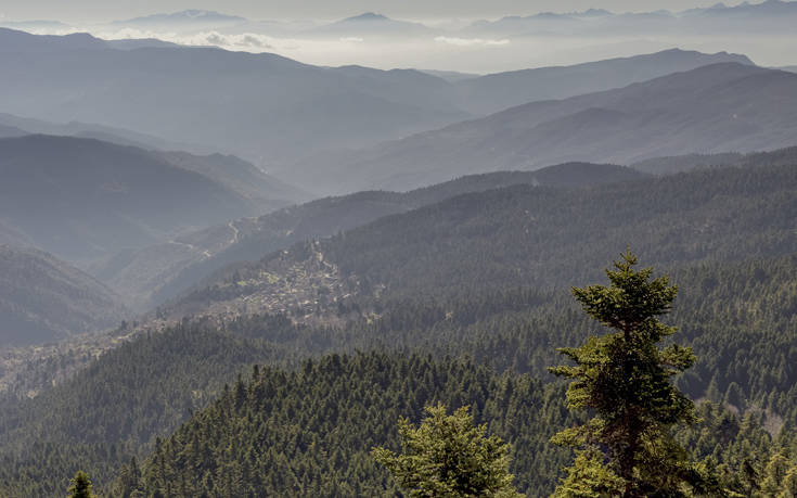 &Omicron;&Rho;&Epsilon;&Iota;&Nu;&Eta; &Nu;&Alpha;&Upsilon;&Pi;&Alpha;&Kappa;&Tau;&Iota;&Alpha;