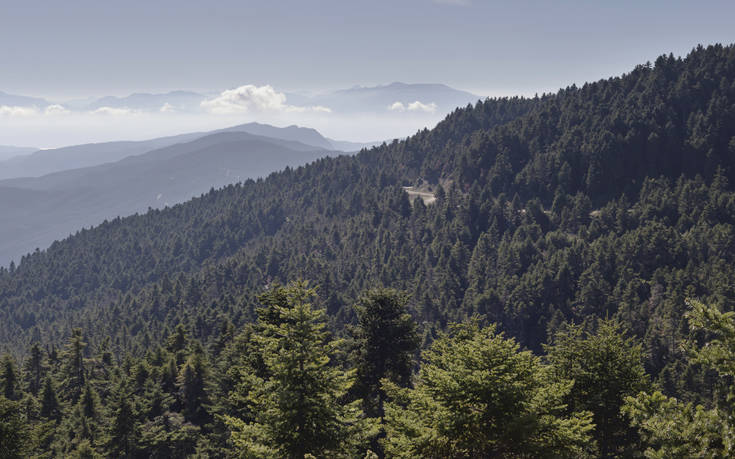 &Omicron;&Rho;&Epsilon;&Iota;&Nu;&Eta; &Nu;&Alpha;&Upsilon;&Pi;&Alpha;&Kappa;&Tau;&Iota;&Alpha;