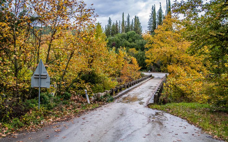&Alpha;&Rho;&Alpha;&Chi;&Theta;&Omicron;&Sigma;