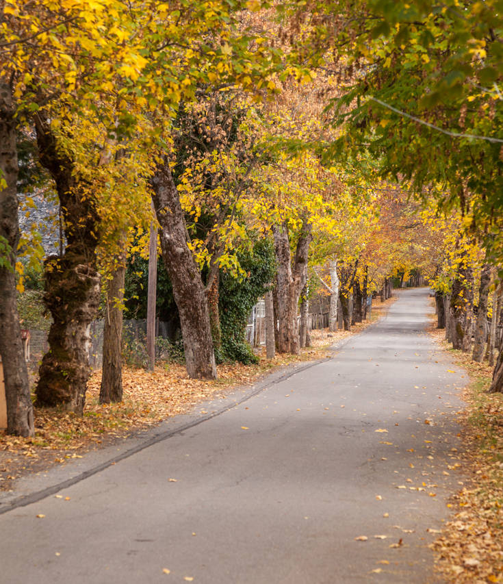 &Beta;&Upsilon;&Tau;&Iota;&Nu;&Alpha;