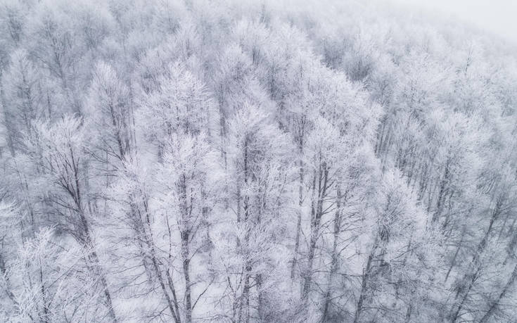 &Beta;&Epsilon;&Rho;&Mu;&Iota;&Omicron;