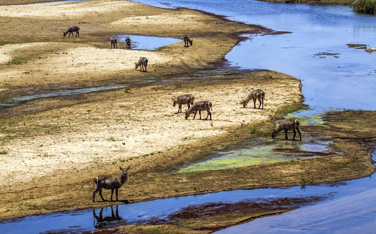 &Epsilon;&theta;&nu;&iota;&kappa;ό &Pi;ά&rho;&kappa;&omicron; &Kappa;&rho;&omicron;ύ&gamma;&kappa;&epsilon;&rho; &Nu;ό&tau;&iota;&alpha; &Alpha;&phi;&rho;&iota;&kappa;ή