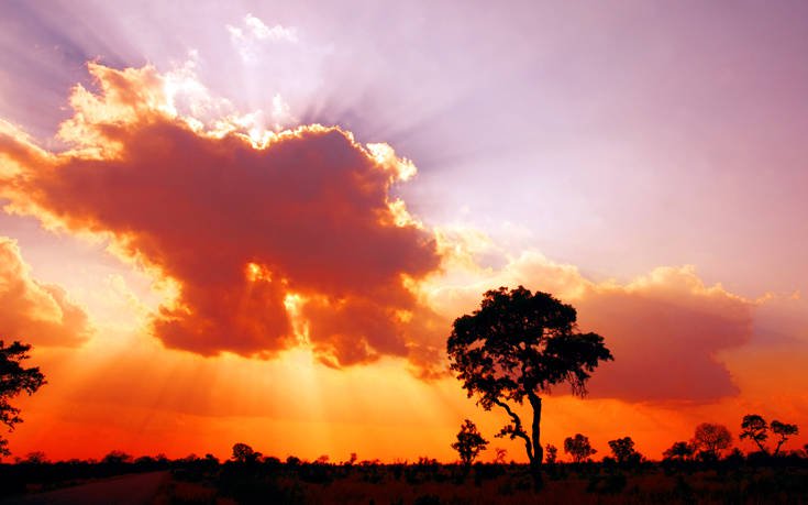 &Epsilon;&theta;&nu;&iota;&kappa;ό &Pi;ά&rho;&kappa;&omicron; &Kappa;&rho;&omicron;ύ&gamma;&kappa;&epsilon;&rho; &Nu;ό&tau;&iota;&alpha; &Alpha;&phi;&rho;&iota;&kappa;ή