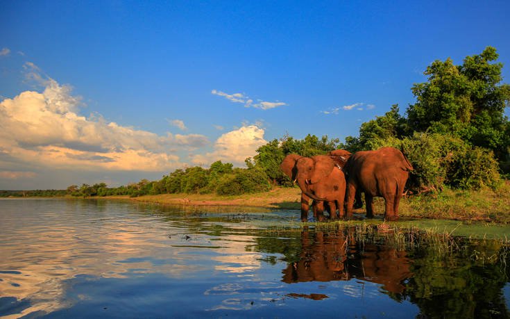 &Epsilon;&theta;&nu;&iota;&kappa;ό &Pi;ά&rho;&kappa;&omicron; &Kappa;&rho;&omicron;ύ&gamma;&kappa;&epsilon;&rho; &Nu;ό&tau;&iota;&alpha; &Alpha;&phi;&rho;&iota;&kappa;ή