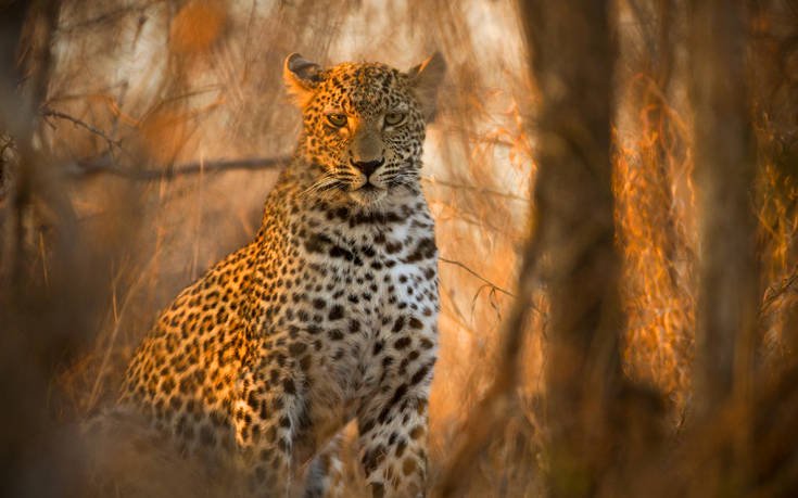 &Epsilon;&theta;&nu;&iota;&kappa;ό &Pi;ά&rho;&kappa;&omicron; &Kappa;&rho;&omicron;ύ&gamma;&kappa;&epsilon;&rho; &Nu;ό&tau;&iota;&alpha; &Alpha;&phi;&rho;&iota;&kappa;ή