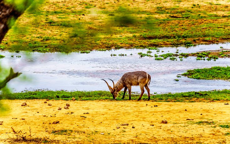 &Epsilon;&theta;&nu;&iota;&kappa;ό &Pi;ά&rho;&kappa;&omicron; &Kappa;&rho;&omicron;ύ&gamma;&kappa;&epsilon;&rho; &Nu;ό&tau;&iota;&alpha; &Alpha;&phi;&rho;&iota;&kappa;ή