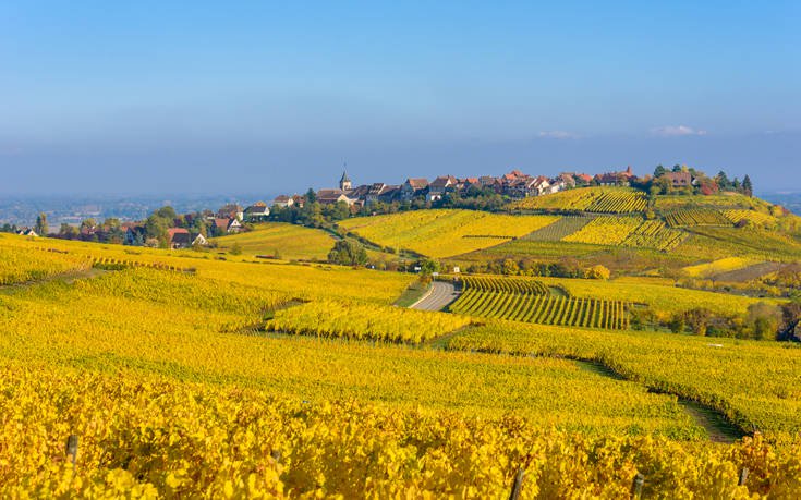 &Rho;&Iota;&Kappa;&Beta;&Iota;&Rho; &Gamma;&Alpha;&Lambda;&Lambda;&Iota;&Alpha;