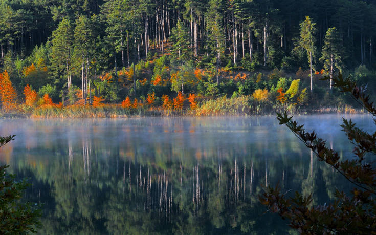 &Phi;&Epsilon;&Nu;&Epsilon;&Omicron;&Sigma;