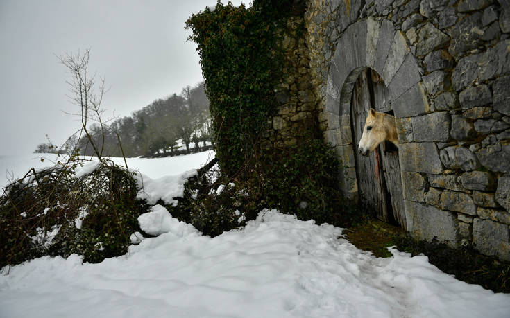 Σφοδρές χιονοπτώσεις πλήττουν την Ισπανία 14 dlhjogfij4