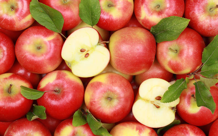 shutterstock117519346