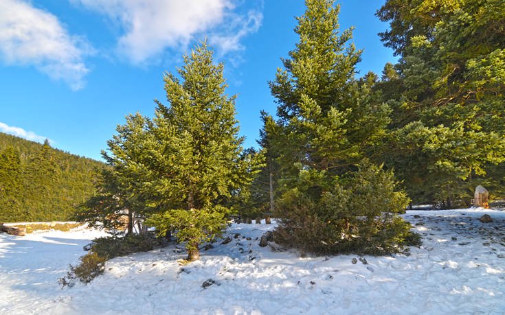 &Omicron;&Iota;&Tau;&Eta;