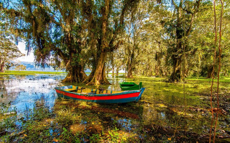 &Omicron;&Nu;&Delta;&Omicron;&Upsilon;&Rho;&Alpha;