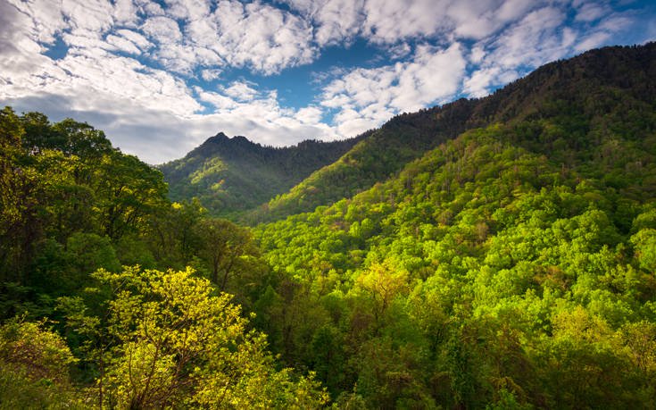 Great Smoky Mountains &Eta;&Pi;&Alpha;