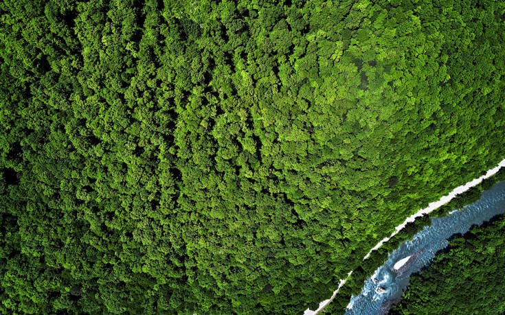 shutterstock_662559421