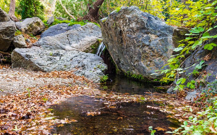 &Phi;&Alpha;&Rho;&Alpha;&Gamma;&Gamma;&Iota; &Rho;&Iota;&Chi;&Tau;&Eta; &Kappa;&Rho;&Eta;&Tau;&Eta;