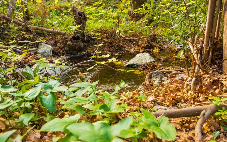 &Phi;&Alpha;&Rho;&Alpha;&Gamma;&Gamma;&Iota; &Rho;&Iota;&Chi;&Tau;&Eta; &Kappa;&Rho;&Eta;&Tau;&Eta;
