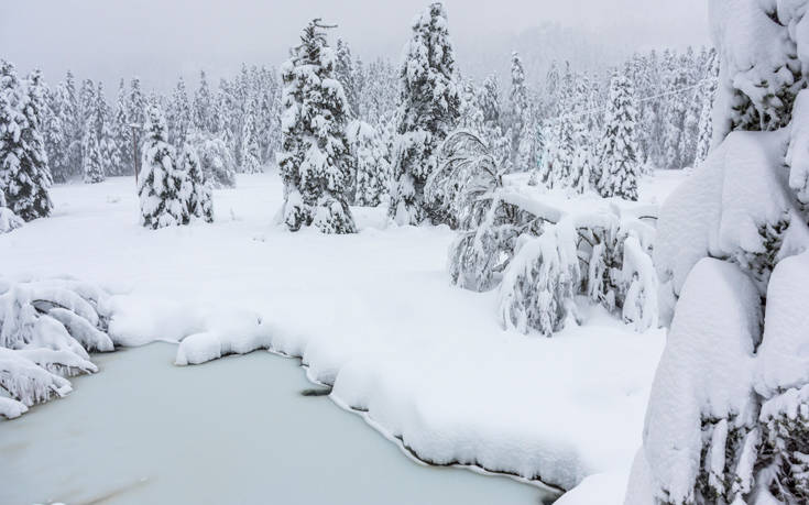 &Epsilon;&Lambda;&Alpha;&Tau;&Eta;
