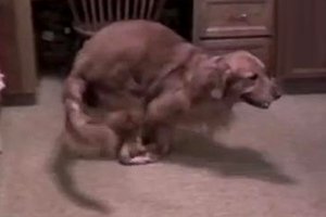 &Sigma;&Kappa;&Upsilon;&Lambda;&Omicron;&Sigma; &Tau;&Rho;&Epsilon;&Xi;&Iota;&Mu;&Omicron;