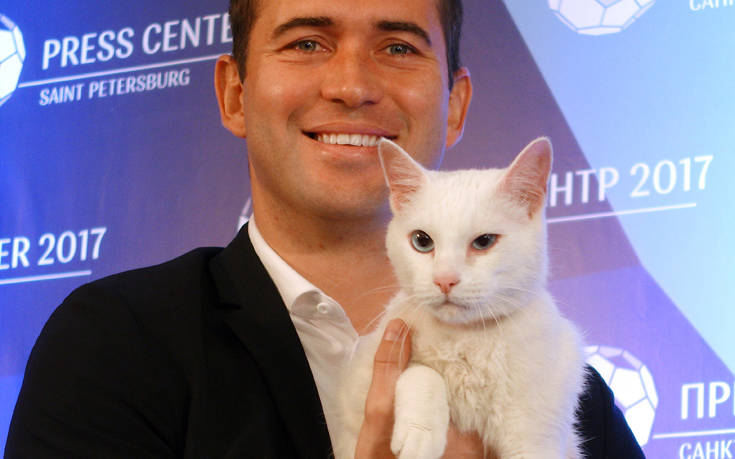 Ο Αχιλλέας, o κουφός γάτος, θα προβλέπει τα αποτελέσματα του Μουντιάλ 4 17166496847924