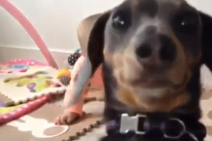 &Sigma;&Kappa;&Upsilon;&Lambda;&Omicron;&Sigma;