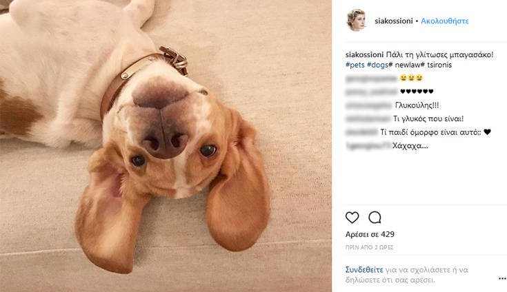 Η Σία Κοσιώνη σχολιάζει με χιούμορ την απόσυρση του νομοσχεδίου για τα ζώα