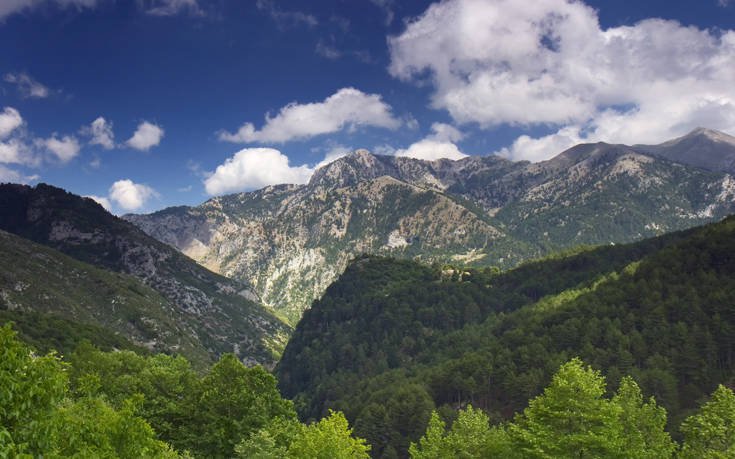 &Tau;&Alpha;&Upsilon;&Gamma;&Epsilon;&Tau;&Omicron;&Sigma;