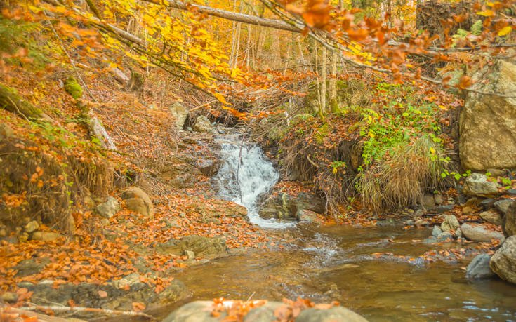 &Beta;&Alpha;&Lambda;&Iota;&Alpha; &Kappa;&Alpha;&Lambda;&Nu;&Tau;&Alpha;