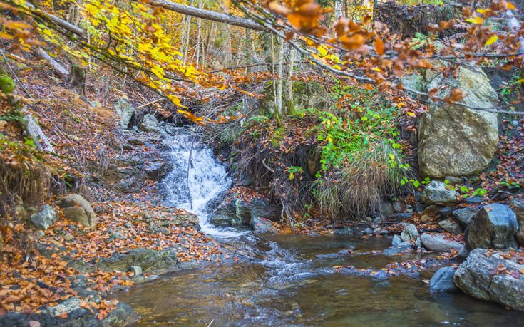 &Beta;&Alpha;&Lambda;&Iota;&Alpha; &Kappa;&Alpha;&Lambda;&Nu;&Tau;&Alpha;