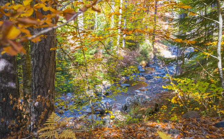 &Beta;&Alpha;&Lambda;&Iota;&Alpha; &Kappa;&Alpha;&Lambda;&Nu;&Tau;&Alpha;