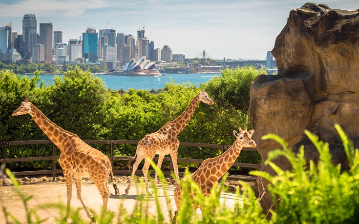 &Sigma;&Iota;&Delta;&Nu;&Epsilon;&Iota; &Alpha;&Upsilon;&Sigma;&Tau;&Rho;&Alpha;&Lambda;&Iota;&Alpha;