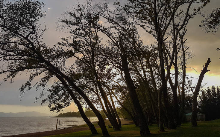 &Tau;&Rho;&Iota;&Chi;&Omicron;&Nu;&Iota;&Delta;&Alpha;