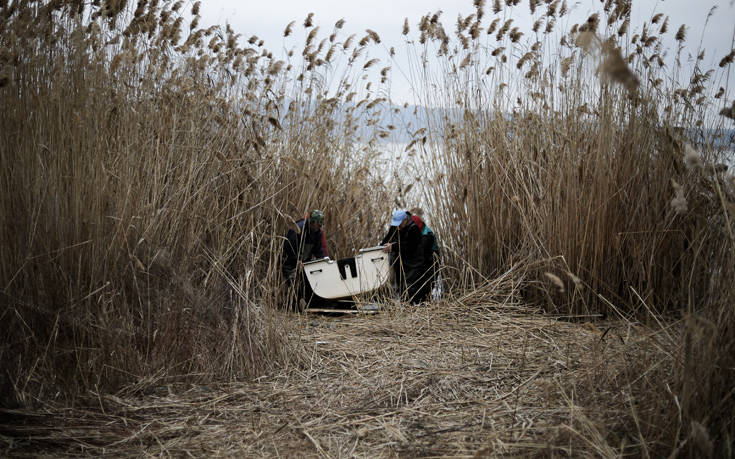&Mu;&Iota;&Kappa;&Rho;&Eta; &Beta;&Omicron;&Lambda;&Beta;&Eta;