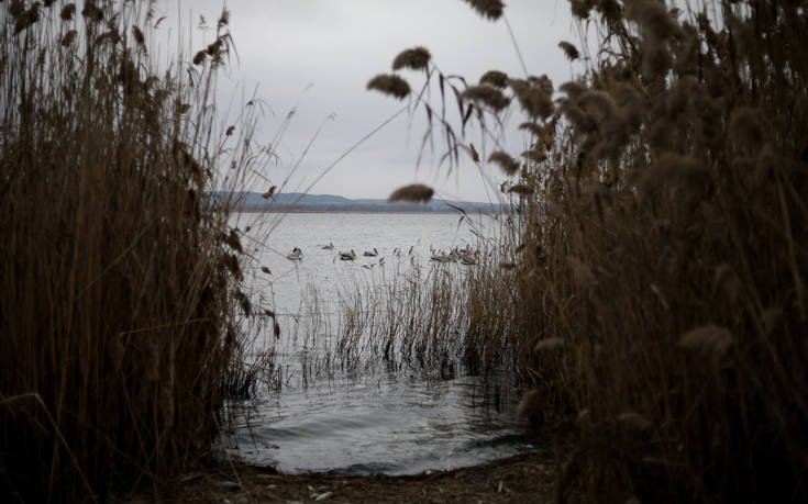 &Mu;&Iota;&Kappa;&Rho;&Eta; &Beta;&Omicron;&Lambda;&Beta;&Eta;