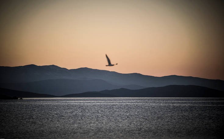 &Mu;&Eta;&Lambda;&Iota;&Nu;&Alpha; &Pi;&Eta;&Lambda;&Iota;&Omicron;&Upsilon;