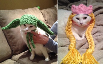 animal-hats-0016-08272015