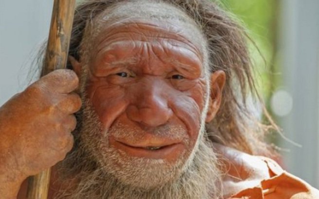 DNA από Νεάντερταλ θα βάλουν οι επιστήμονες σε μίνι εγκεφάλους